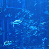 IMG_4772.JPG