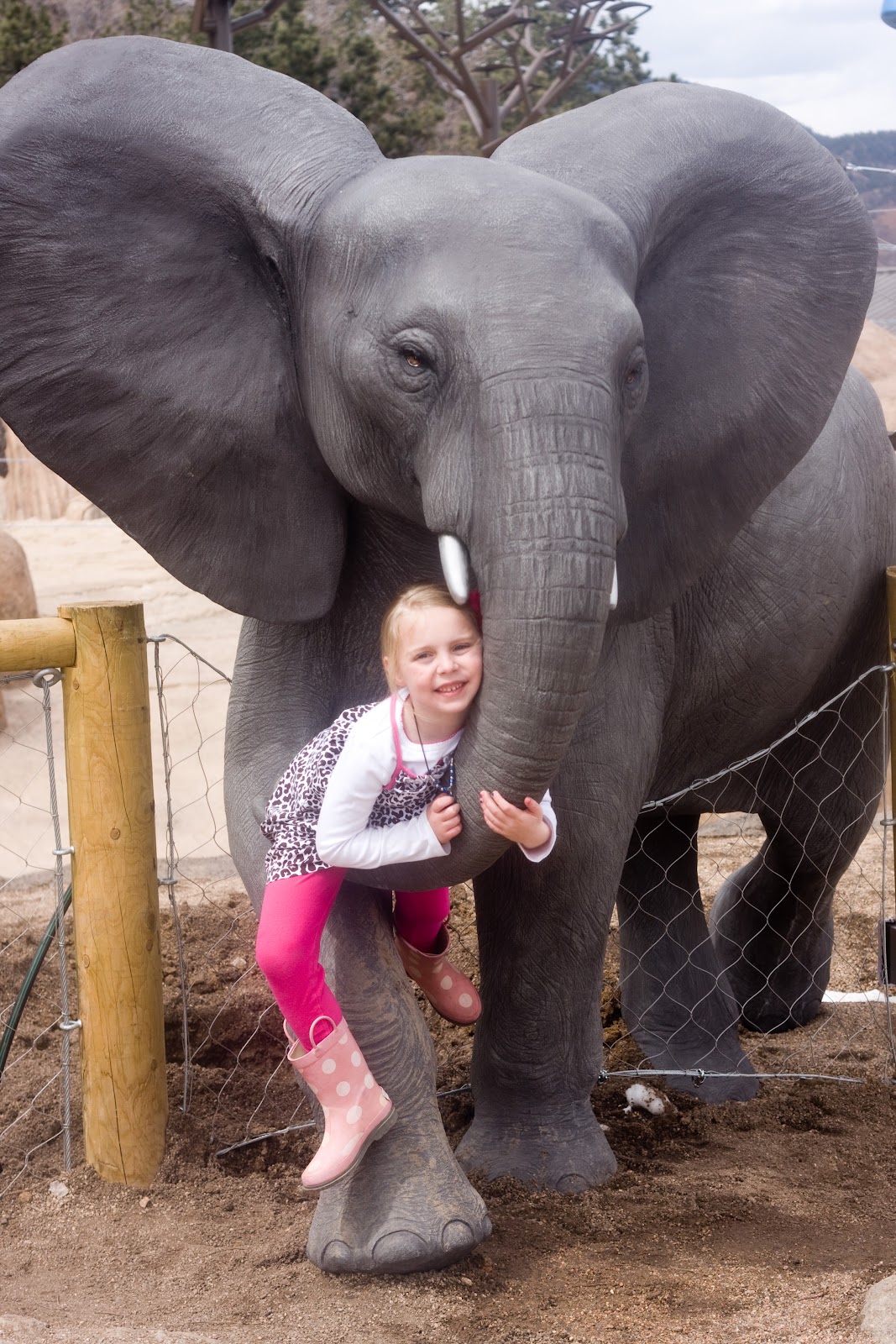 [03%252028%252013_soph%2520elephant%25202%255B3%255D.jpg]