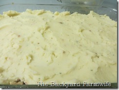 beef n mushroom shepherd's pie - The Backyard Farmwife