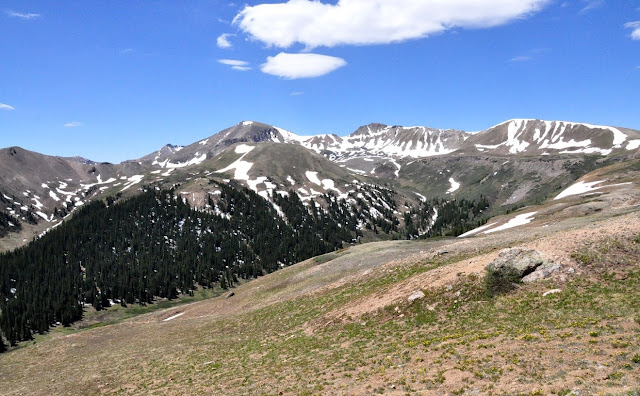DSC_0604.JPG