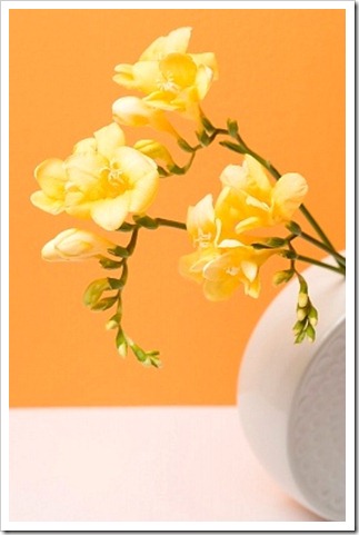 rds160087 rds160087