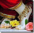 Krishna's lotus feet