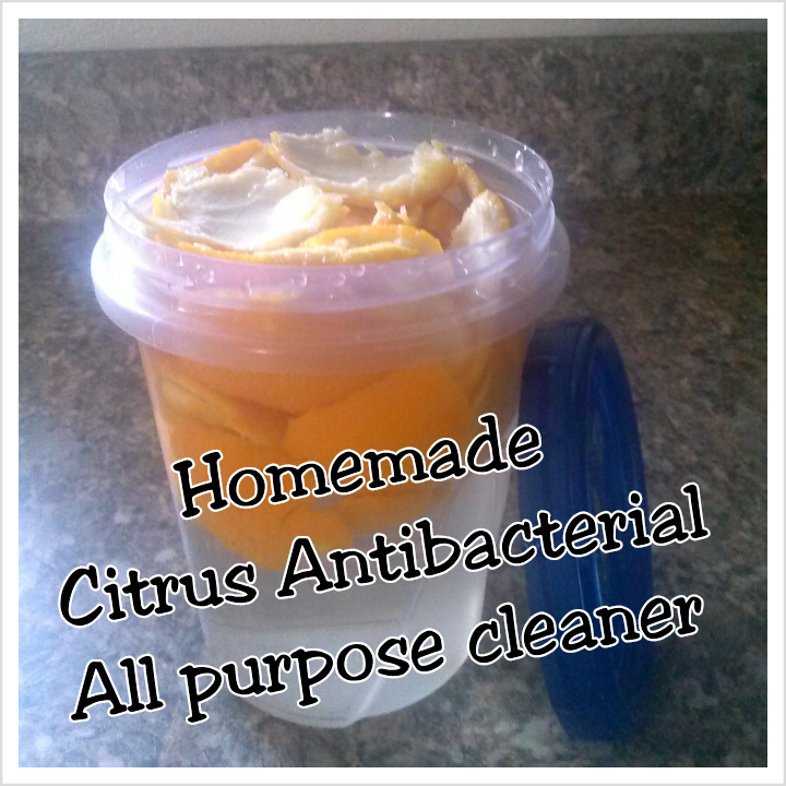 Jessica IsellAvon Homemade citrus all purpose cleaner