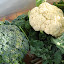 lincolnton market april 201105.jpg lincolnton market april 201105.jpg