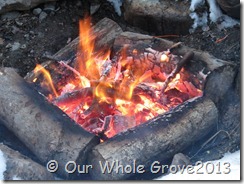 embers embers