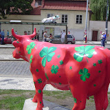 Europe Trip - Cows - cow3.JPG