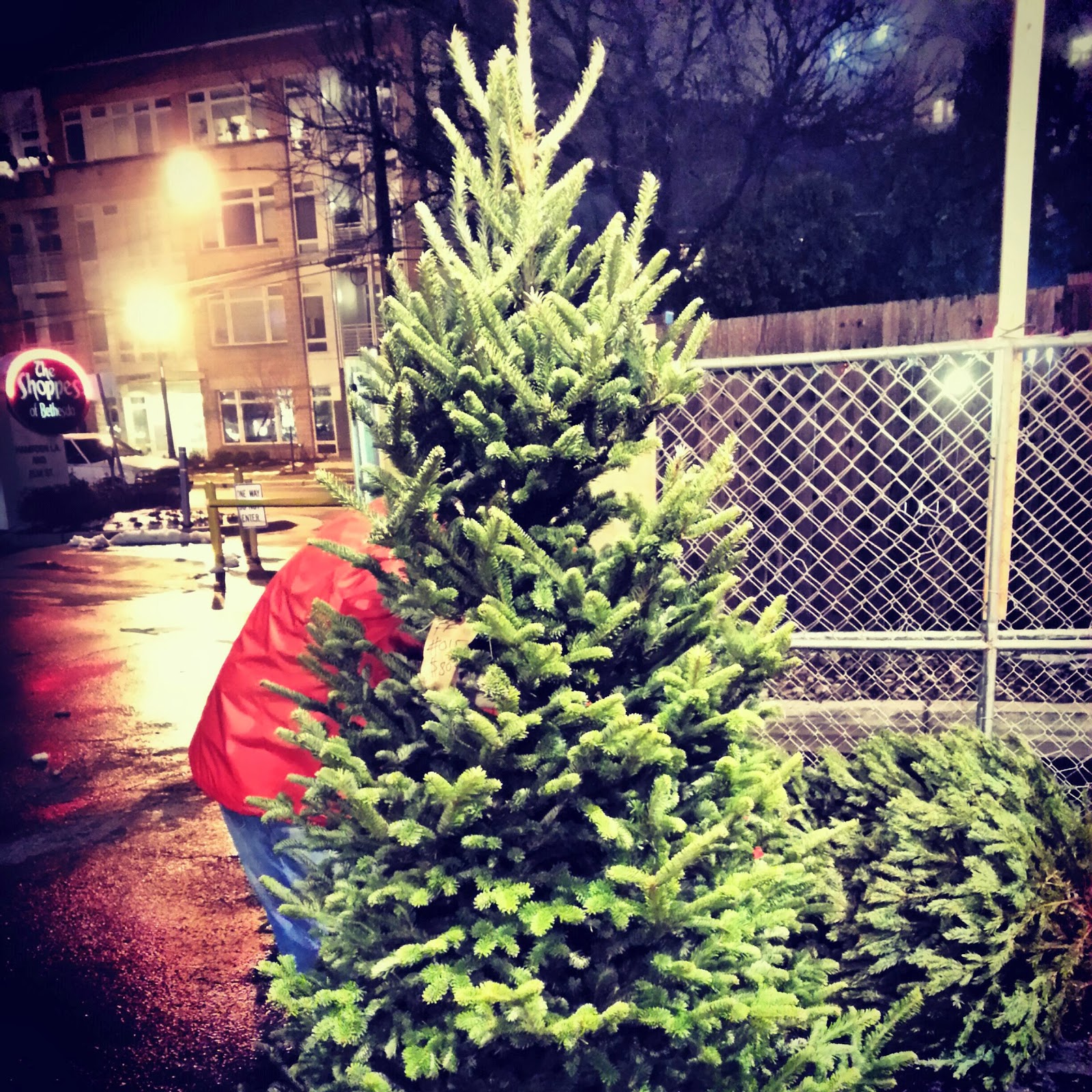 robert dyer bethesda row christmas trees for sale in robert dyer bethesda row christmas trees for sale in