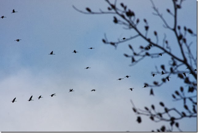 IMG_2206 IMG_2206