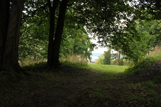 IMG_2645 IMG_2645