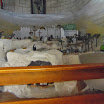 IMGP0208.JPG