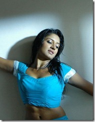 Vimala Raman Hot Saree Stills