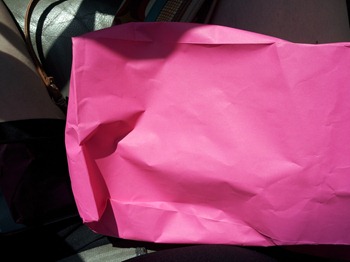 pink bag pink bag