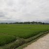 IMG_9464.JPG