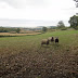 DSC07353.JPG