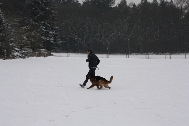 [trainen%255B3%255D.jpg]