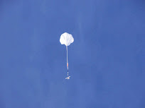 R6Ant127.jpg