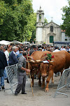 Guimarães, Portugal 017.JPG