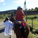 DSCF2863.JPG