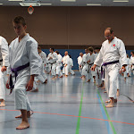 H25D2838.JPG
