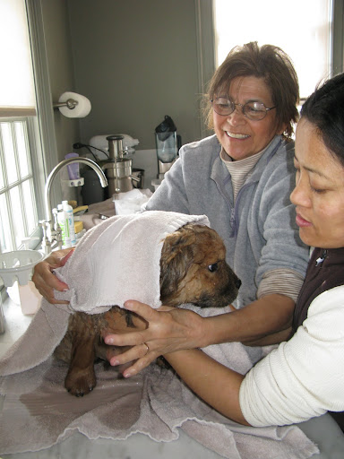 Laura and Sanu are very good and experienced hands to be in.