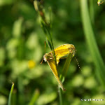 IMG_4812.jpg