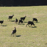 Photo -24 von 63