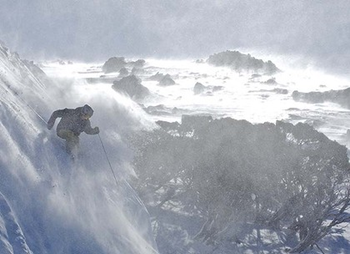 Skier in the Australian Alps. A new report warns that Australian ski slopes could be bare of natural snow by 2050. Tony Harrington / smh.com.au