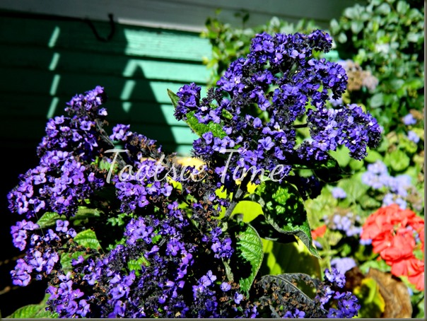 BeFunky_047.jpg BeFunky_047.jpg