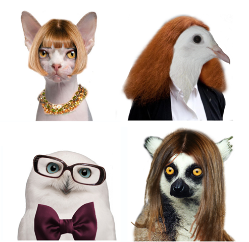 [capturedcran20110929125%255B3%255D.png]
