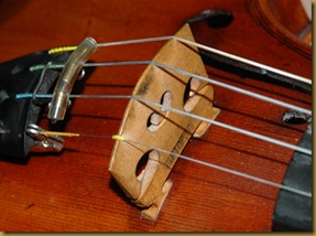 violin bridge