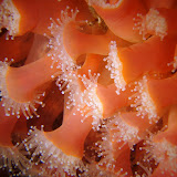 2009-07-11 lover's point