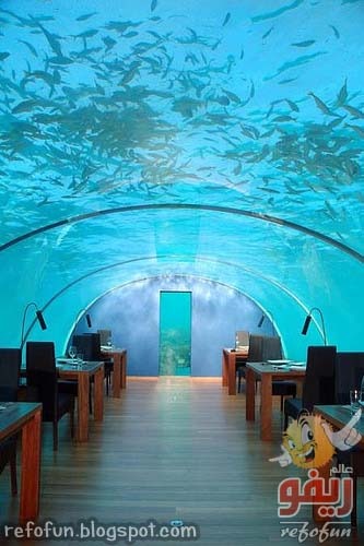 [underwater-restaurant-refofun%255B5%255D.jpg]