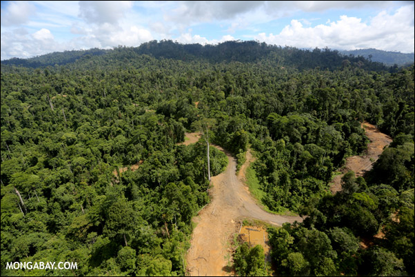 Logging operation in Malaysian Borneo. Photo: mongabay.com