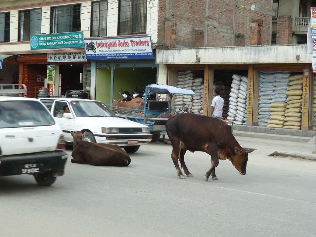 [Nepal-Kathmandu-Street-Scene-July-20%255B48%255D.jpg]