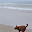 DSC_0218.jpg