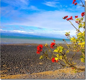 Firth of Thames