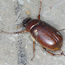 20120328_6