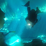 2011-11-20 chac mool cenote dive