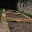 il nostro orto6.jpg
