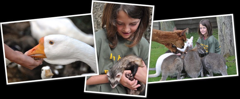 View Poppy Methold 1