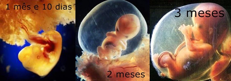 ¨FAMÍLIA¨ Algo importante em nossa vida!: Como seu bebê está na barriga ...