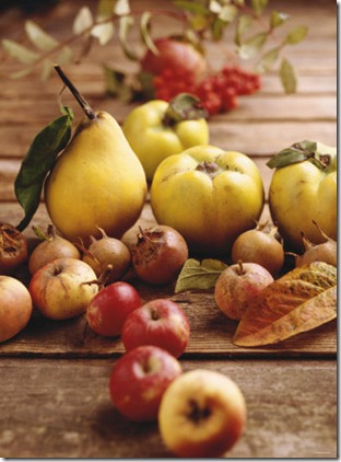 autumn-fruits