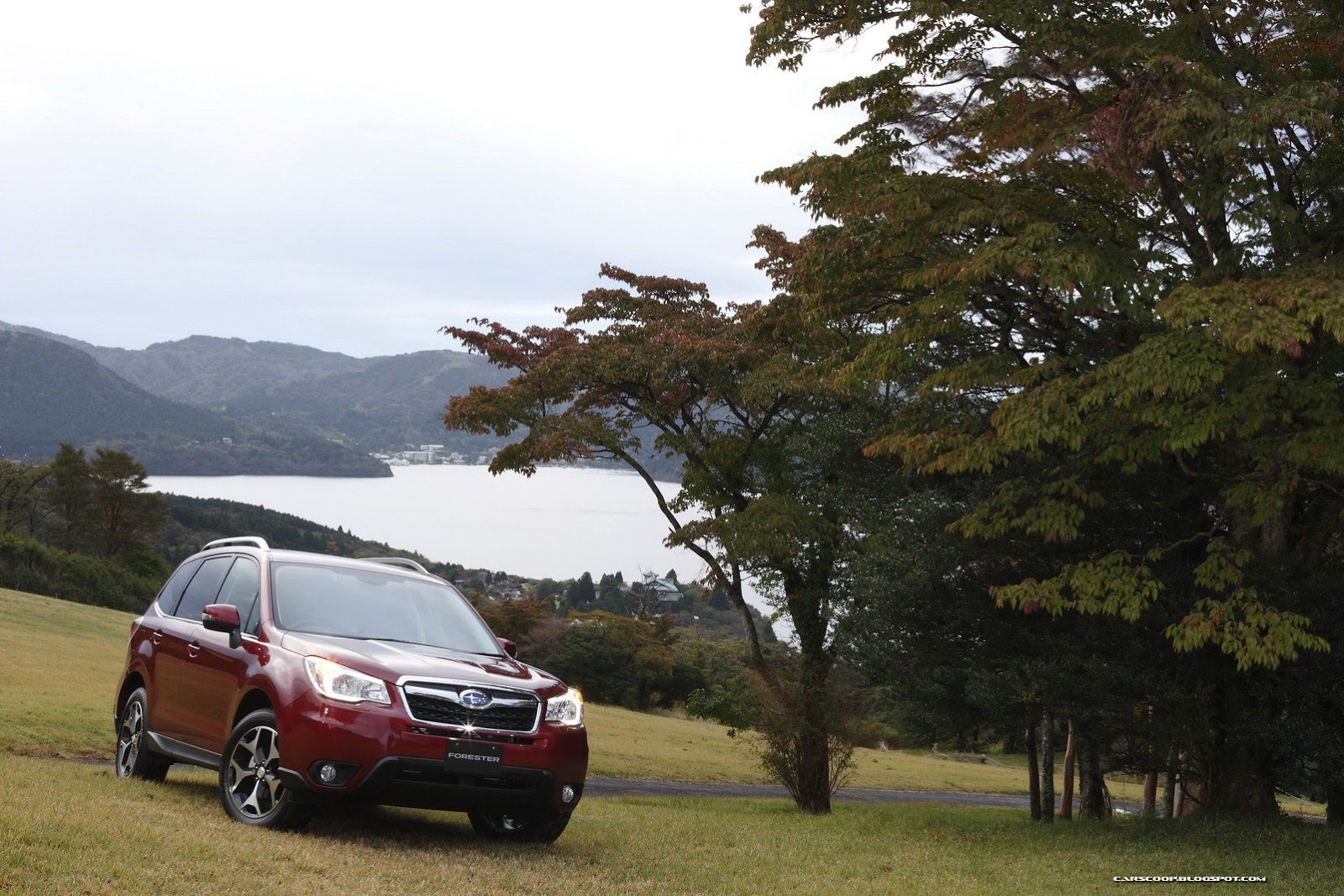 2014-Subaru-Forester-25[5].jpg