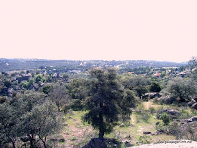 rio-guadarrama-parque-regional (3).JPG