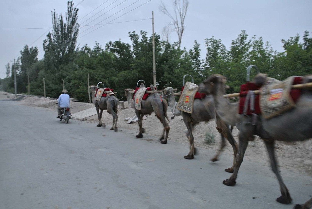 [DSC_3913%255B4%255D.jpg]