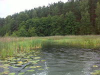 DSC04882.JPG Photo