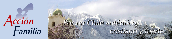 [accion-familia11.png]