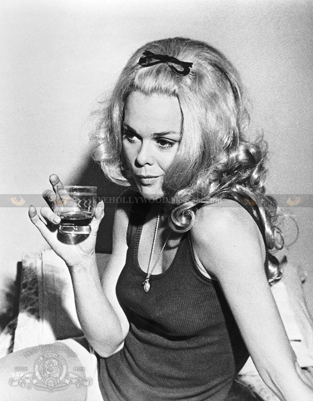 Lynn Borden 