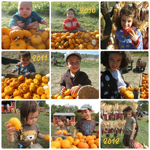 [pumpkincollage%255B2%255D.jpg]