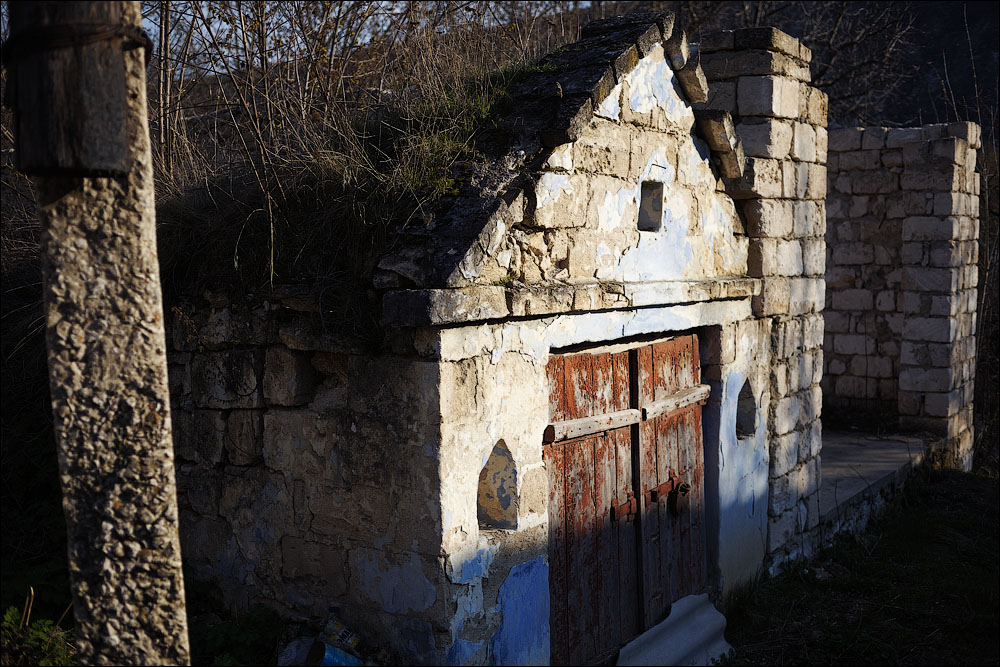 IMG_7337.jpg